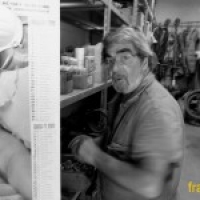 Vedi album Men At Work